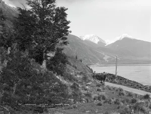 Pony And Trap Prints: Waimakariri cutting, West Coast Road, 1880s. Creator: Burton Brothers