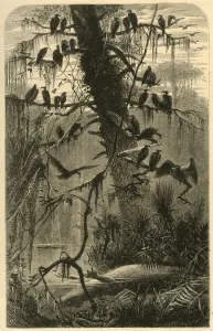 Tropical Prints: Waiting for Decomposition, 1872. Creator: Frederick William Quartley