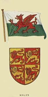 Escutcheon Prints: Wales, c1935. Creator: Unknown