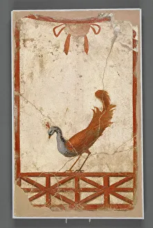 Fragments Prints: Wall Fragment with a Peacock, about 1911. Creator: Unknown