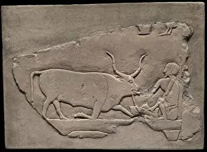 Arts Of Africa Collection: Wall Fragment from a Tomb Depicting a Herdsman, Egypt, First Intermediate Period