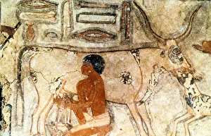 Wall painting from the tomb of Methethi, Saqqara, Ancient Egypt, Old Kingdom Wall painting from the tomb of Methethi, Saqqara, Ancient Egypt, Old Kingdom