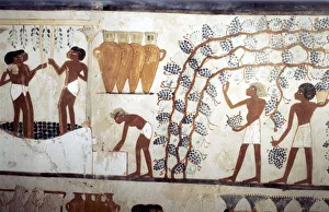 18th Dynasty Prints: Wall painting from the tomb of the scribe Menna, Thebes, Ancient Egyptian, 18th dynasty