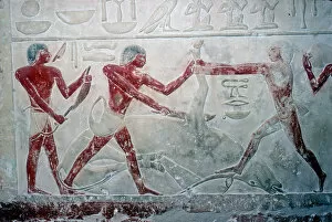 Burial Chamber Collection: Wallpainting of 3 butchers cutting up a carcase, Tomb of Idut, 5th Dynasty, c2350 BC