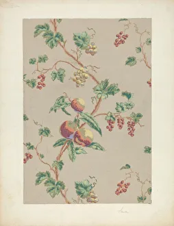 Vine Leaves Prints: Wallpaper, 1935 / 1942. Creator: Selma Sandler