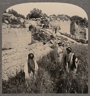 Realistic Travels Prints: Walls of Augustus, Samaria, c1900
