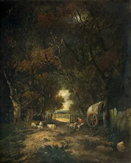 Walnut Tree Walk, Earlham, 1836-63. Creator: Samuel David Colkett