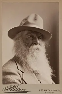 Sarony Prints: Walt Whitman, 1879. Creator: Napoleon Sarony