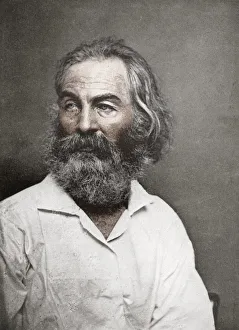 Walt Prints: Walt Whitman, American poet, c1880s. Artist: Mathew Brady