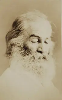 White Hair Prints: Walt Whitman, c1861. Creator: Unknown