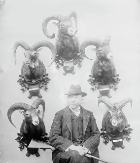 Trophies Prints: Walter Winans [with Mt. Sheep head trophies]