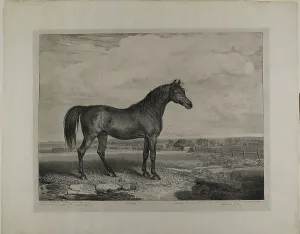 Walton, 1823. Creator: James Ward
