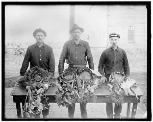 Crop Prints: War Garden Commission, between 1910 and 1920