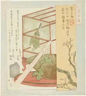 Cage Collection: Warbler in a cage, from the series 'A Series for the Hanazono Group
