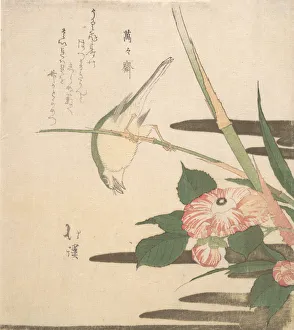 Kyosai Prints: Warbler and Camellia, ca. 1815-20. Creator: Totoya Hokkei
