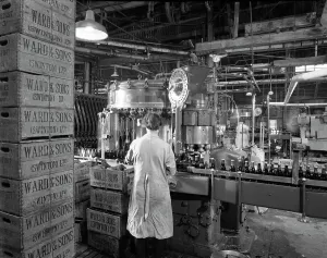 Bottle Prints: Ward & Sons soft drink bottling plant, Swinton, South Yorkshire, 1960. Artist