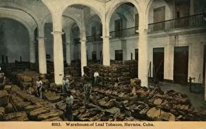 Storage Gallery: Warehouse of Leaf Tobacco, Havana, Cuba, c1910