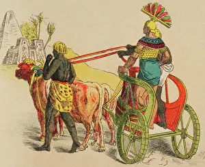 Oxen Prints: Warfare chariot, Ancient Egypt, 1881. Creator: Unknown