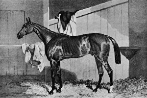 Warlock, 19th century, (1911)