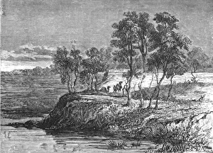 Warrego Creek; Incidents of Bush Life in Queensland, 1875. Creator: Unknown