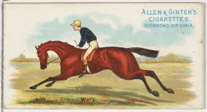 Horseracing Prints: Wary, from The Worlds Racers series (N32) for Allen & Ginter Cigarettes, 1888