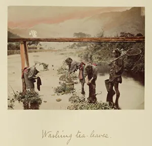 Meiji Period Prints: Washing Tea Leaves, about 1873-1883. Creator: Shinichi Suzuki I