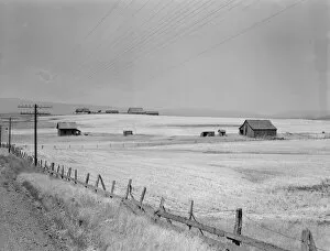 Telecommunications Gallery: Washington, Klickitat County, near Goldendale, 1939. Creator: Dorothea Lange
