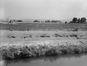 Melon Gallery: Washington, Yakima Valley, near Wapato, 1939. Creator: Dorothea Lange