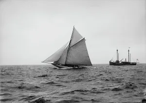 Sloop Prints: Wasp, 1894 Sept 18. Creator: Johns Johnston