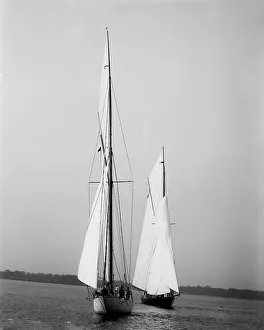 Wasp and Queen Mab, 1894 Sept 22. Creator: Johns Johnston