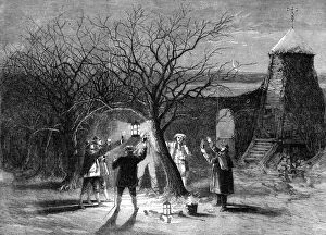 Twelfth Night Gallery: Wassailing apple trees with hot cider in Devonshire on twelfth eve, 1861