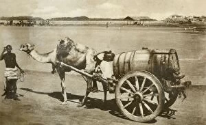 Leading Gallery: Water Cart, Aden, c1918-c1939. Creator: Unknown