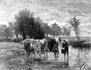 Drinking Water Prints: The Water-Cart - painted by Troyon - from the London Exhibition of the French School of Fine Arts
