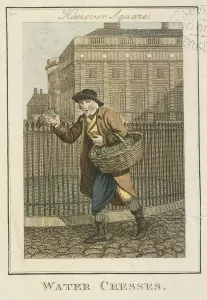 Craig Gallery: Water Cresses, Cries of London, 1804