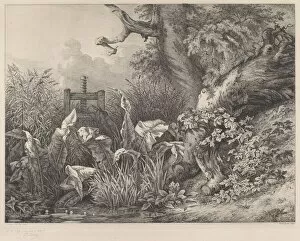 Ry Eug And Xe8 Collection: Water Dock and Brambles at a Sluice, 1843. Creator: Eugene Blery