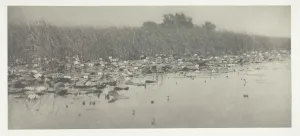 Waterlily Prints: Water-Lilies, 1886. Creator: Peter Henry Emerson