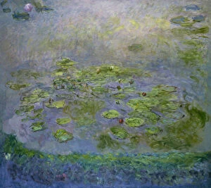 Sun Light Gallery: Water Lilies, 1914-1917. Artist: Monet, Claude (1840-1926)
