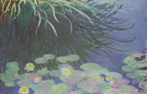 Nympheas Prints: Water Lilies with Reflections of Tall Grass, 1914-1917. Artist: Monet, Claude (1840-1926)