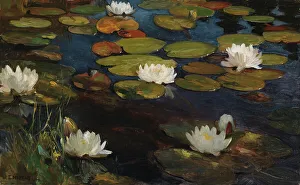 Water Lilies, study for the Youth and a Mermaid, 1896. Creator: Albert Edelfelt