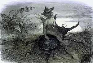 Doyle Prints: Water lilies and water fairies of the period