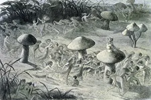 Doyle Prints: Water lilies and water fairies of the period