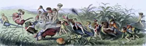 Small Prints: Water lilies and water fairies of the period