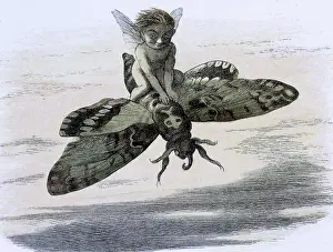 Doyle Prints: Water lilies and water fairies of the period