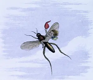 Doyle Prints: Water lilies and water fairies of the period
