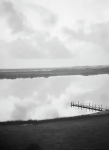 Tranquillity Prints: Water scene from the grounds of The Shallows