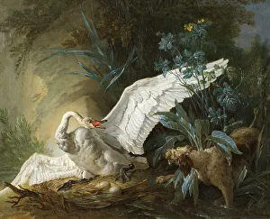 Jean Baptiste Oudry Prints: Water Spaniel Surprising a Swan on its Nest, 1740. Creator: Jean-Baptiste Oudry