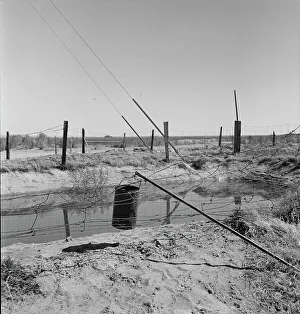 Unsanitary Prints: Water supply, California squatter camp near Calipatria