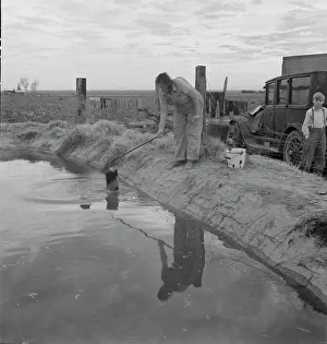 Sanitation Prints: Water supply, California squatter camp near Calipatria