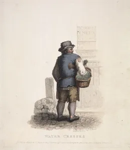 Busby Prints: Watercress seller with a basket on his arm, 1820. Artist: Thomas Lord Busby