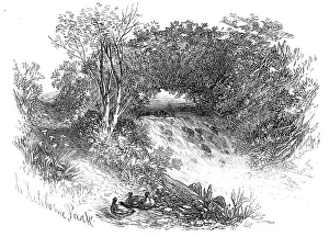 Hampshire England Prints: Waterfall in Tichborne Park, Alresford, Hants. 1871. Creator: Unknown